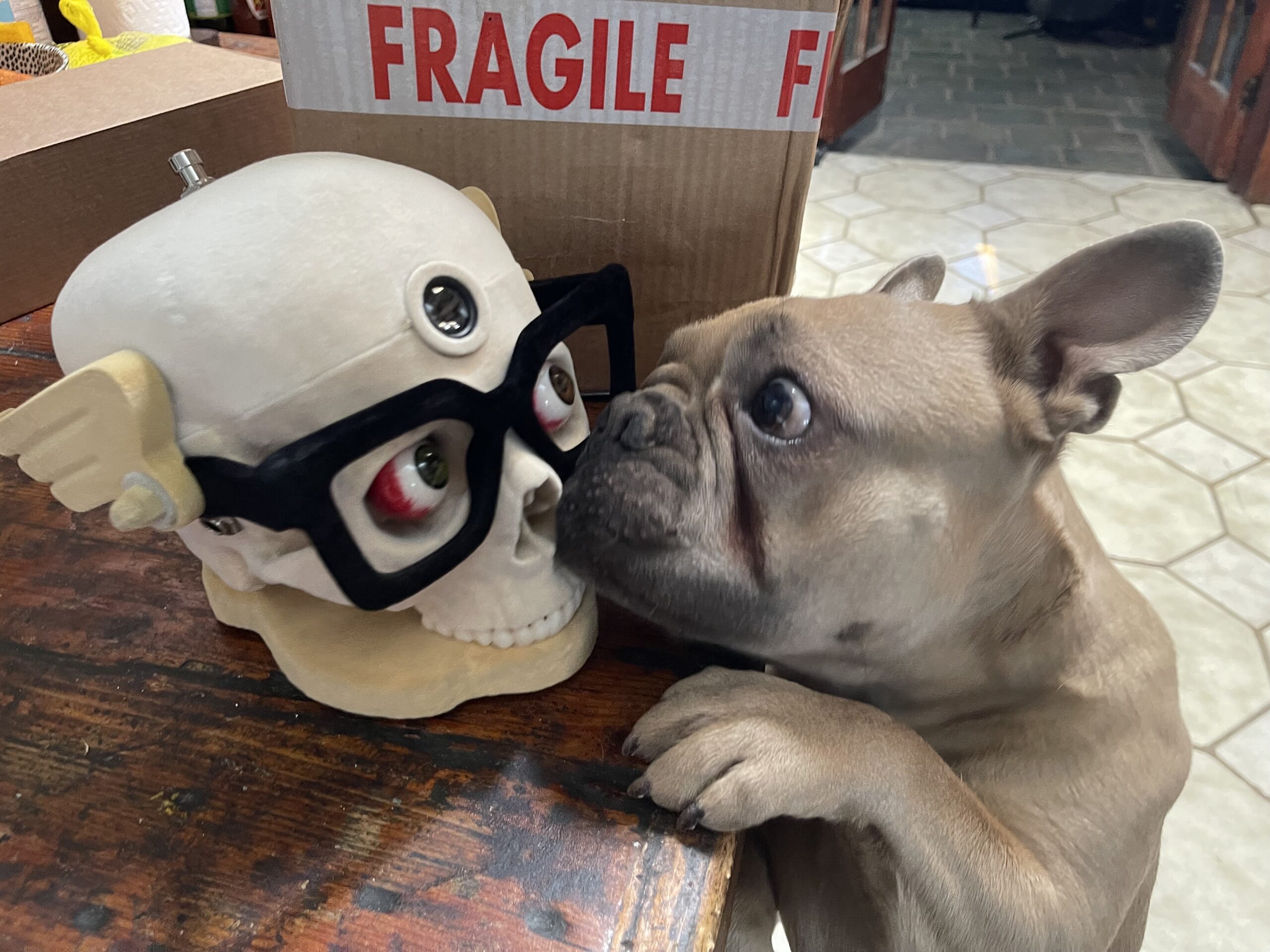 Chunck and the David Catching SkullFuzz