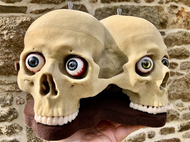 Dr. No Siamese SkullFuzz